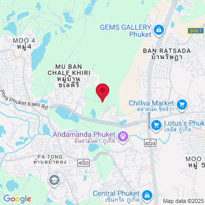 Google Maps static image